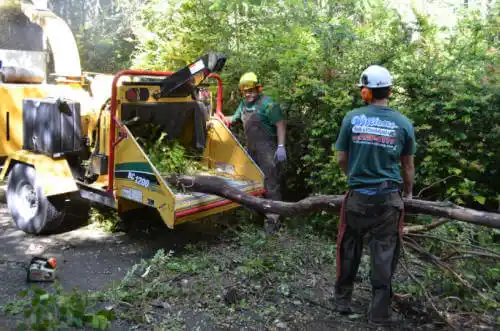 tree services Fruitvale